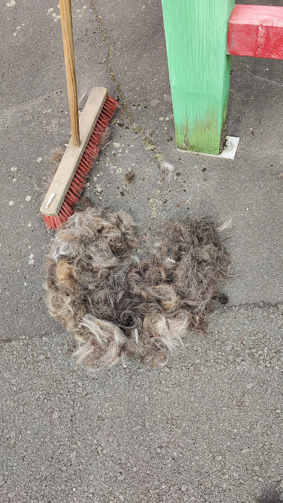ein Herz, zusammen gekehrt aus den Haaren, die die Barber Angels abgeschnitten haben